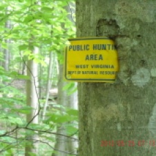 Hunting area sign grown into tree