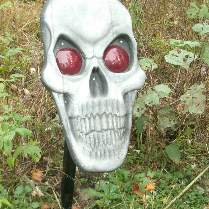 Red eyed skull