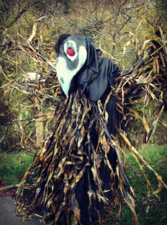 Red eyed scare crow