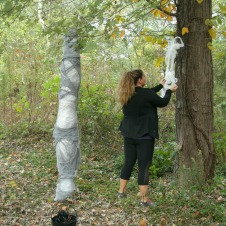 getting webs ready for the spider