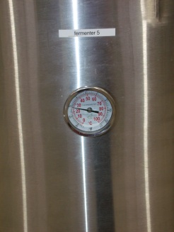 fermination tank #5