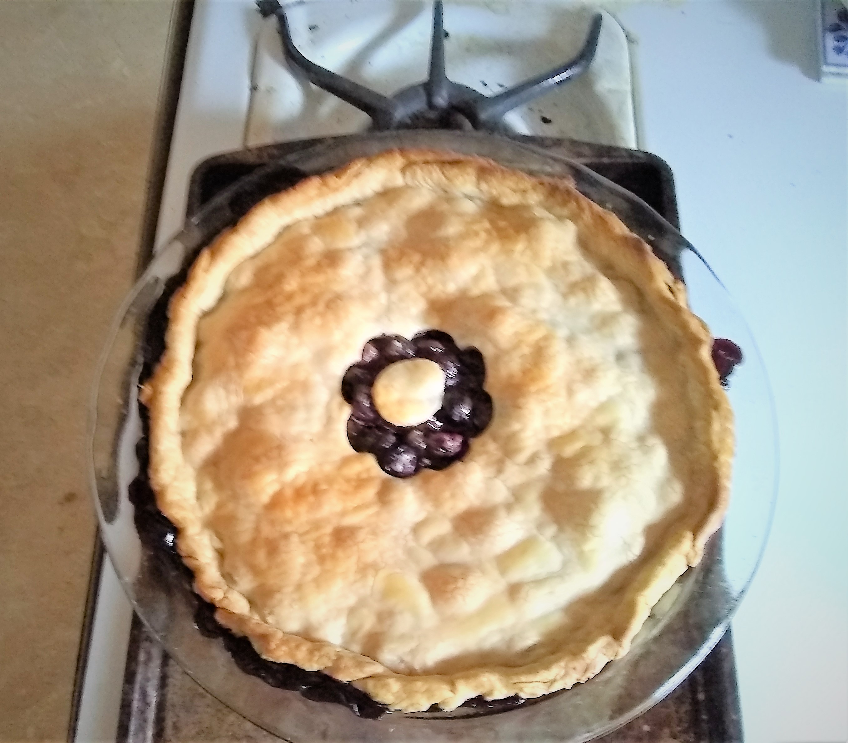 blueberry pie just out of the oven